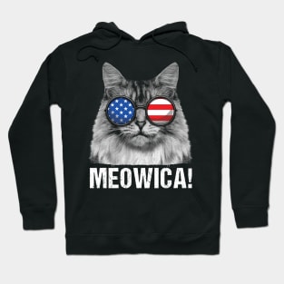 Meowica Cat American Flag Sunglasses Merica Hoodie